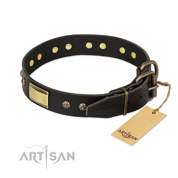 Natural leather dog collar with durable traditional buckle and decorations