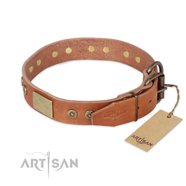 Strong hardware on full grain leather collar for everyday walking your pet