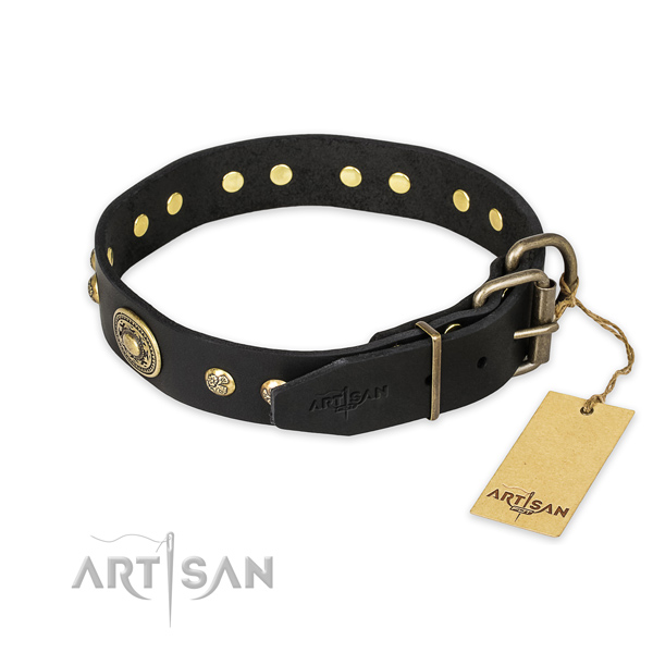 Reliable buckle on full grain leather collar for everyday walking your canine