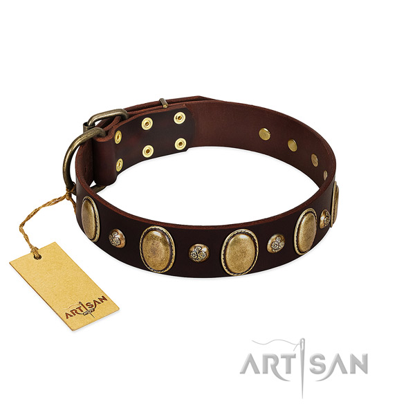 Genuine leather dog collar of flexible material with amazing adornments