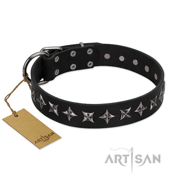 Comfortable wearing dog collar of finest quality full grain leather with embellishments