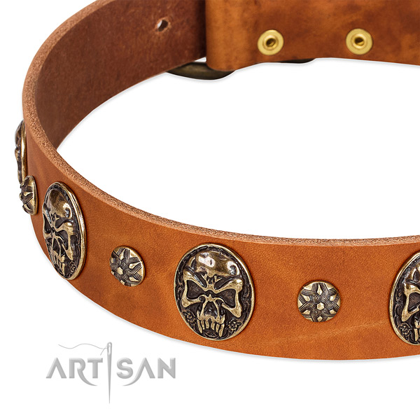 Strong traditional buckle on full grain natural leather dog collar for your pet
