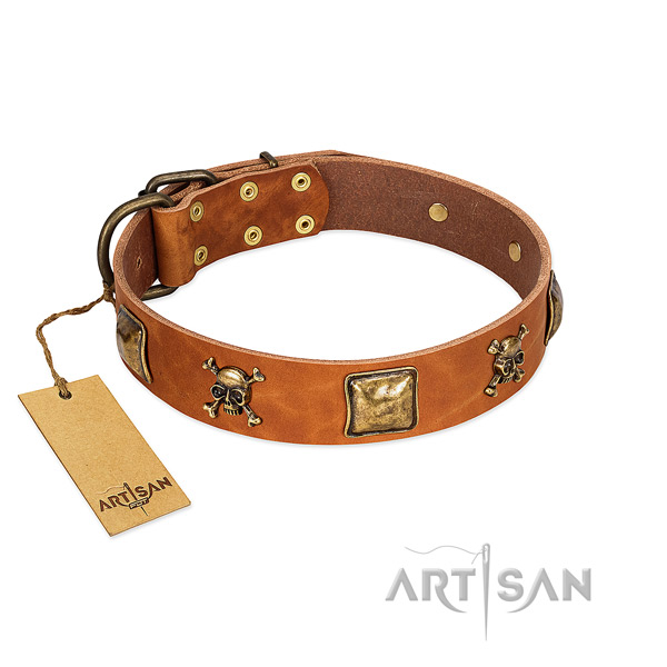 Top notch full grain genuine leather dog collar with strong studs