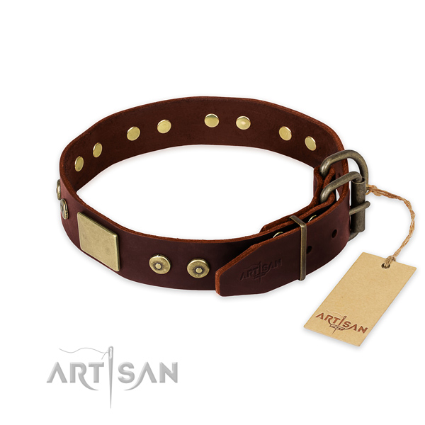 Rust-proof embellishments on handy use dog collar