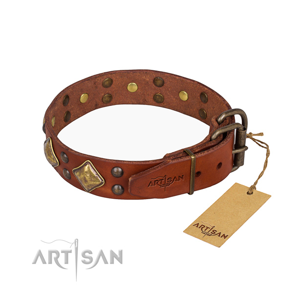 Leather dog collar with trendy corrosion resistant embellishments