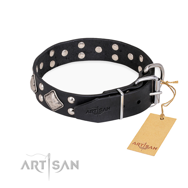 Natural leather dog collar with exceptional strong decorations