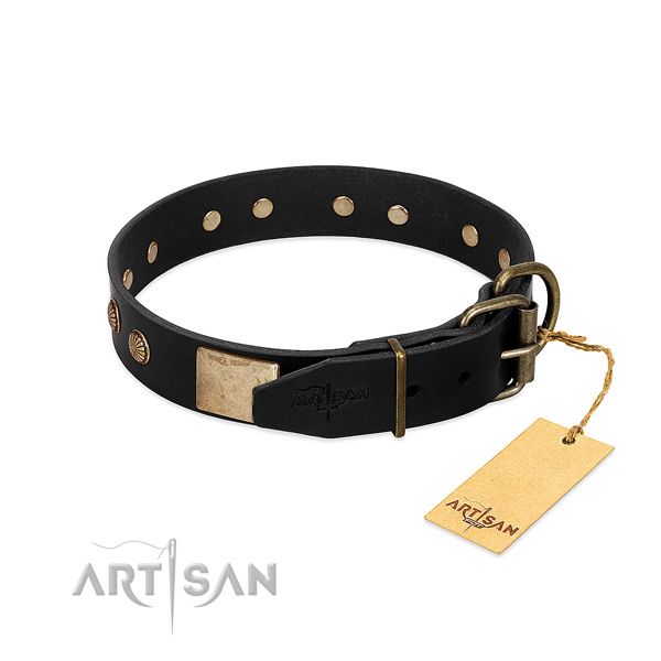 Rust resistant decorations on comfortable wearing dog collar