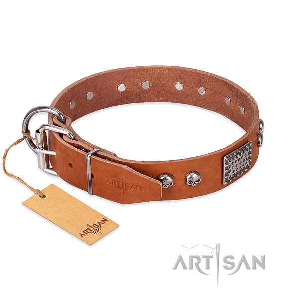 Rust resistant traditional buckle on everyday walking dog collar