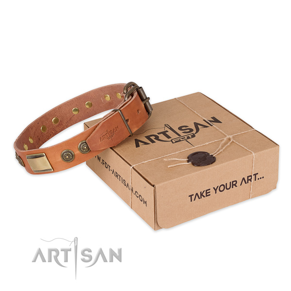 Durable traditional buckle on full grain genuine leather dog collar for everyday walking
