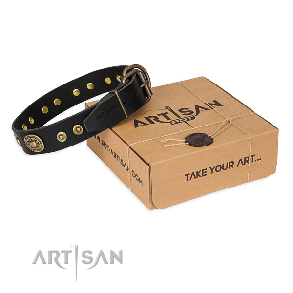 Full grain natural leather dog collar made of flexible material with durable fittings