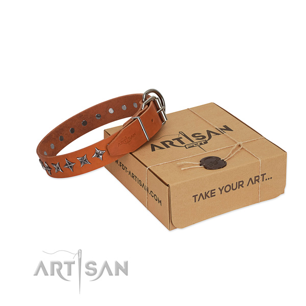 Daily walking dog collar of fine quality natural leather with adornments