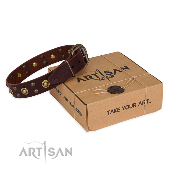 Strong fittings on full grain genuine leather collar for your lovely four-legged friend