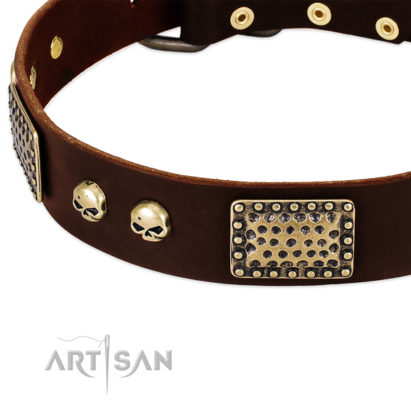 Rust-proof studs on genuine leather dog collar for your canine