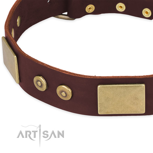 Natural genuine leather dog collar with adornments for everyday walking