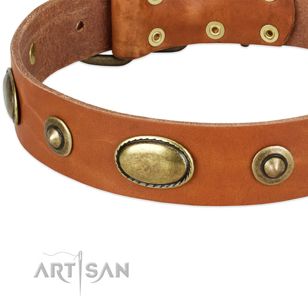 Rust-proof studs on genuine leather dog collar for your pet