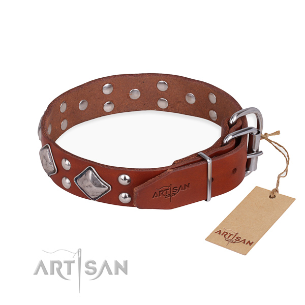 Full grain leather dog collar with remarkable rust resistant adornments