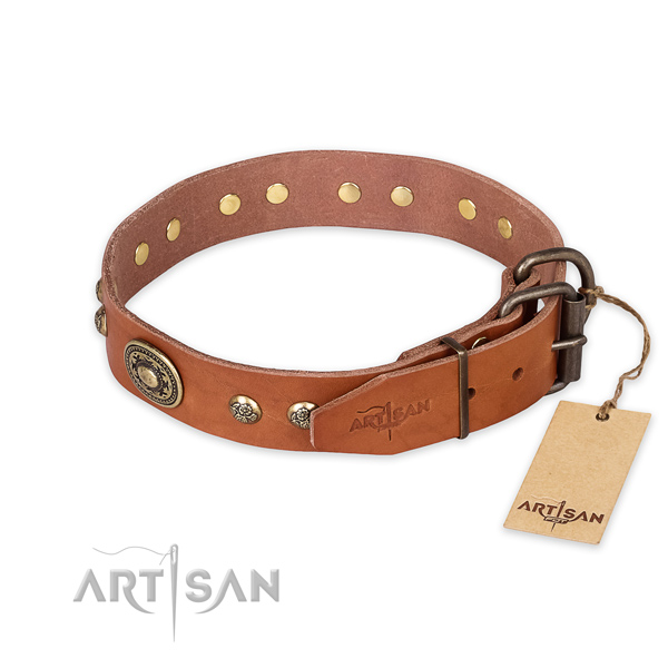 Corrosion resistant buckle on natural leather collar for everyday walking your pet