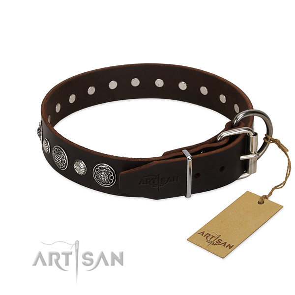 Top notch full grain leather dog collar with inimitable studs