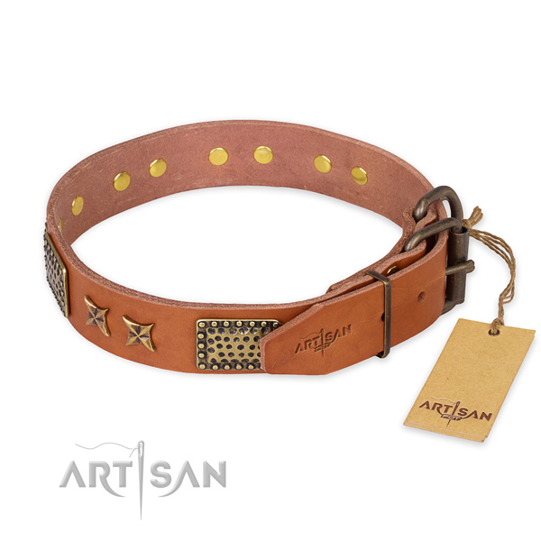 Reliable D-ring on natural genuine leather collar for your stylish pet