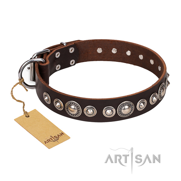Top notch adorned dog collar of leather