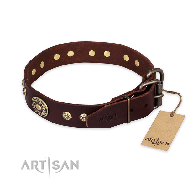 Reliable traditional buckle on genuine leather collar for fancy walking your four-legged friend