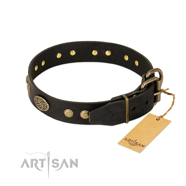 Durable D-ring on natural leather dog collar for your dog