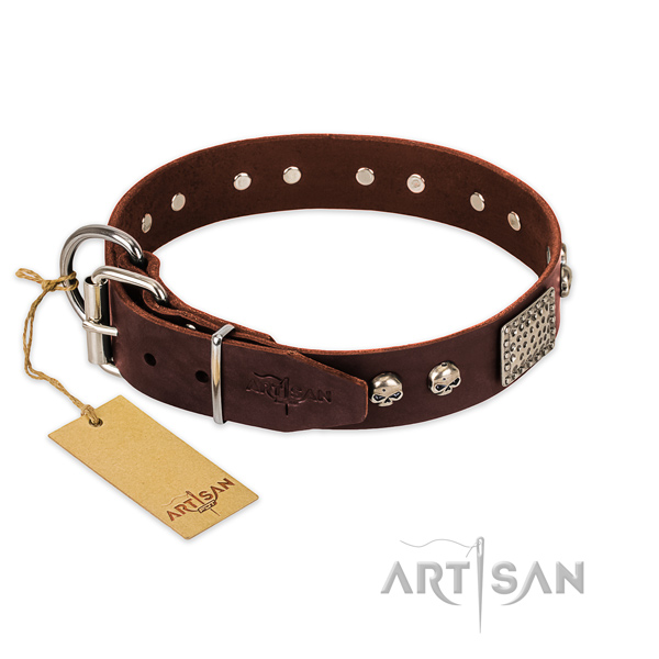 Rust-proof fittings on easy wearing dog collar