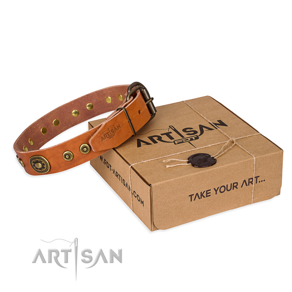 Full grain leather dog collar made of soft material with reliable hardware