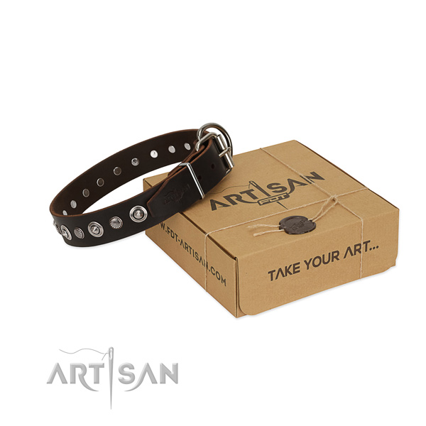 Top quality leather dog collar with fashionable adornments