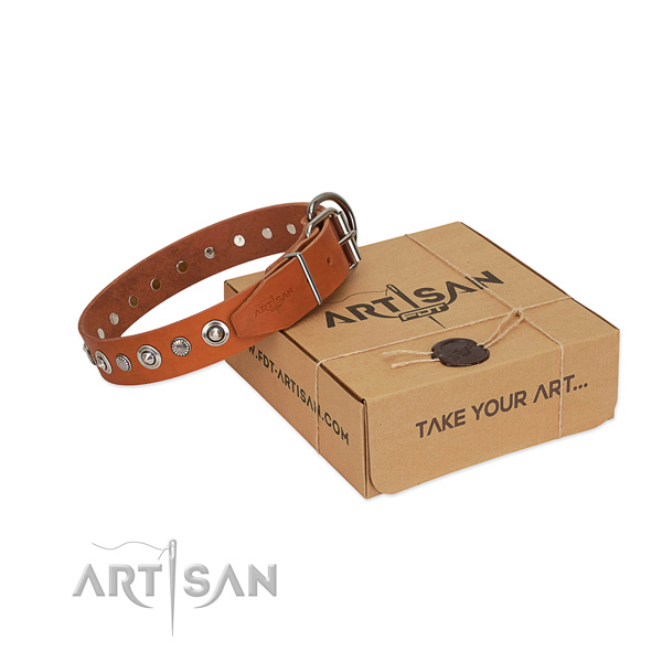 Reliable full grain leather dog collar with unique decorations