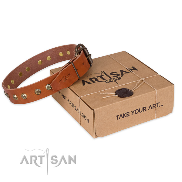 Corrosion proof fittings on full grain leather collar for your lovely four-legged friend