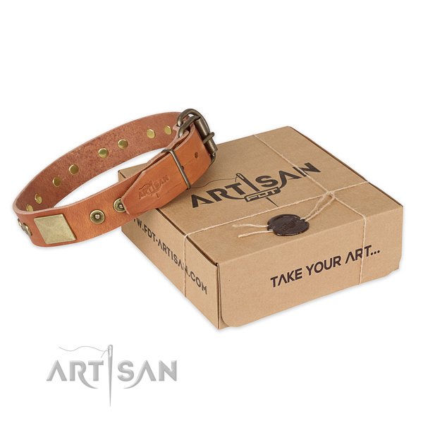Strong traditional buckle on natural genuine leather dog collar for everyday use