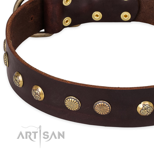 Genuine leather collar with durable D-ring for your lovely pet