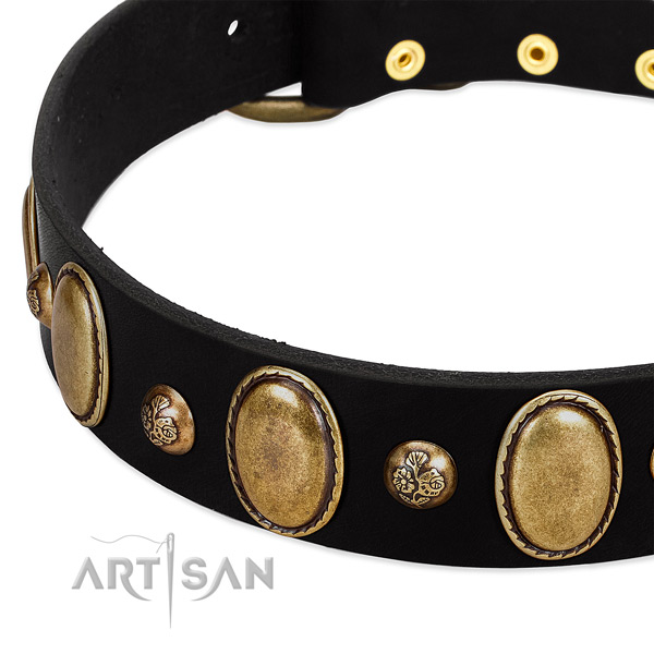 Natural leather dog collar with trendy embellishments