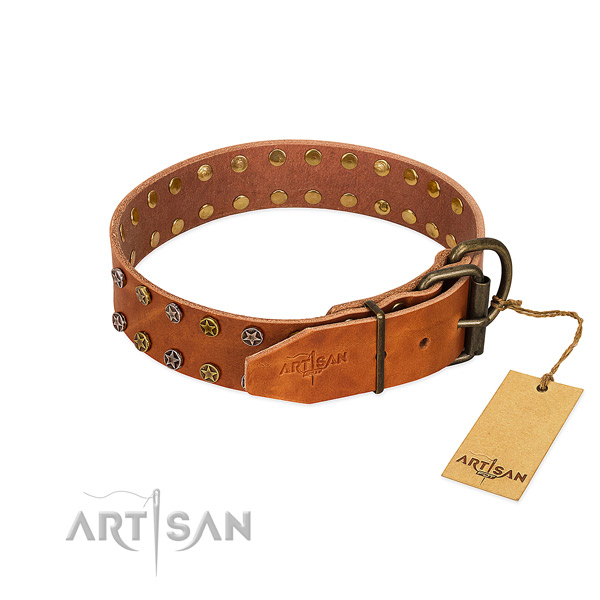 Fancy walking full grain natural leather dog collar with exceptional studs