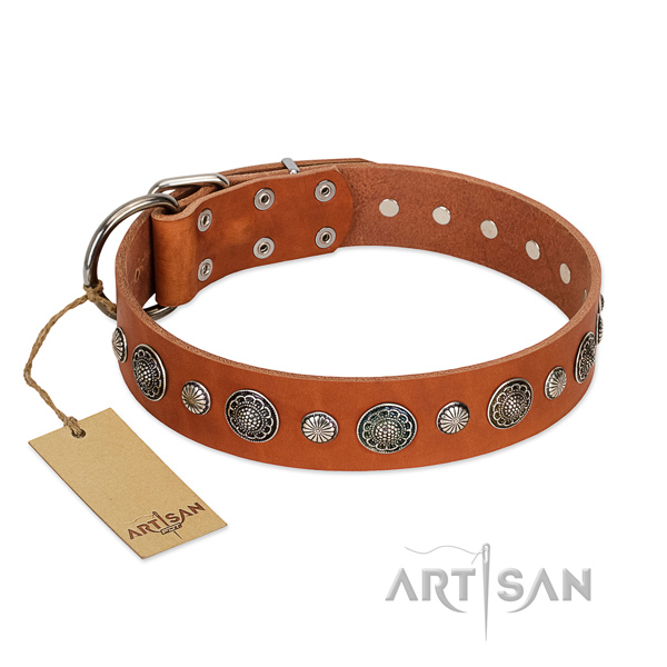 Quality full grain genuine leather dog collar with corrosion resistant hardware