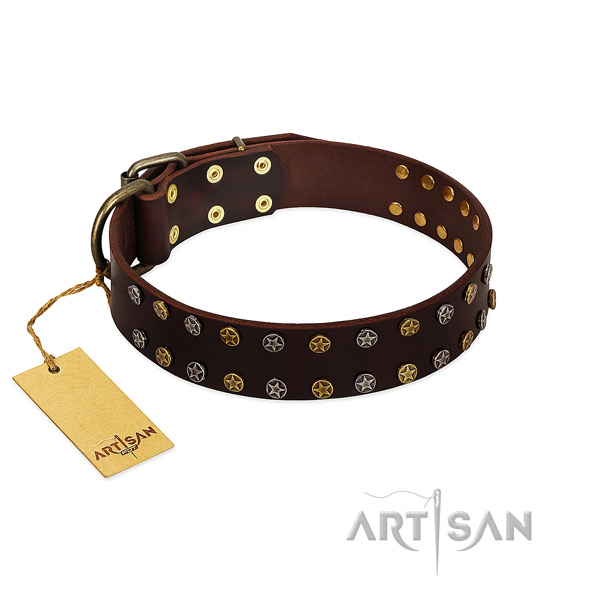 Stylish walking reliable natural leather dog collar with adornments