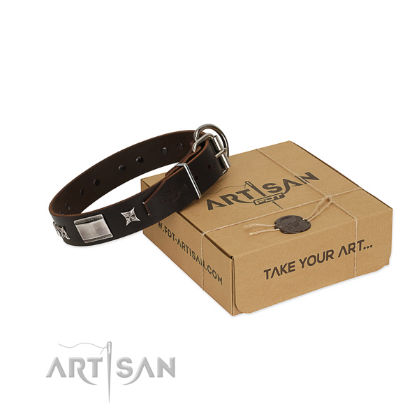Extraordinary collar of full grain genuine leather for your stylish four-legged friend