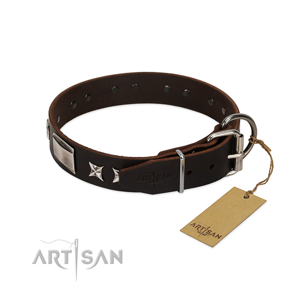 Best quality collar of leather for your handsome canine