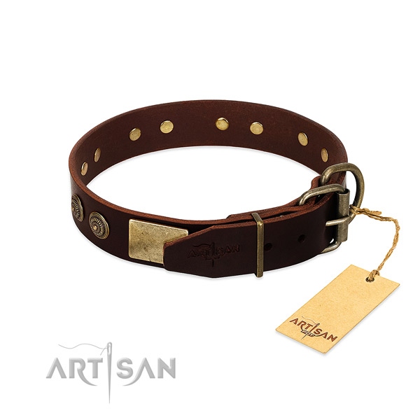 Corrosion proof embellishments on full grain natural leather dog collar for your canine