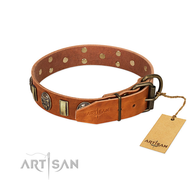Full grain natural leather dog collar with reliable D-ring and adornments