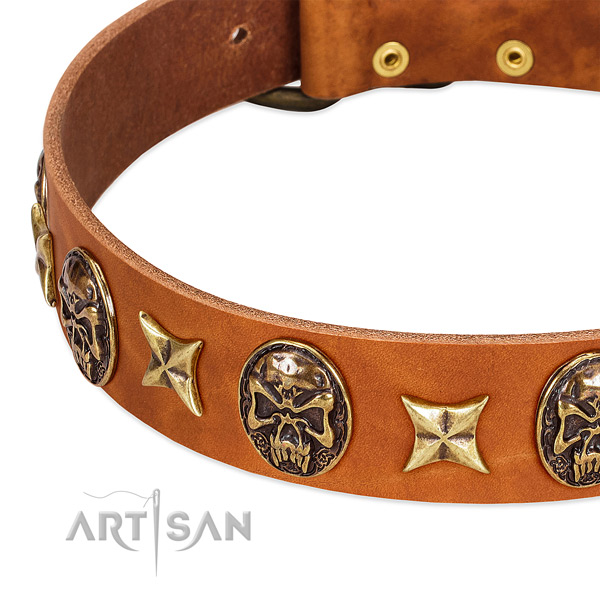 Rust-proof studs on leather dog collar for your doggie
