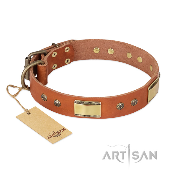 Fine quality leather collar for your pet