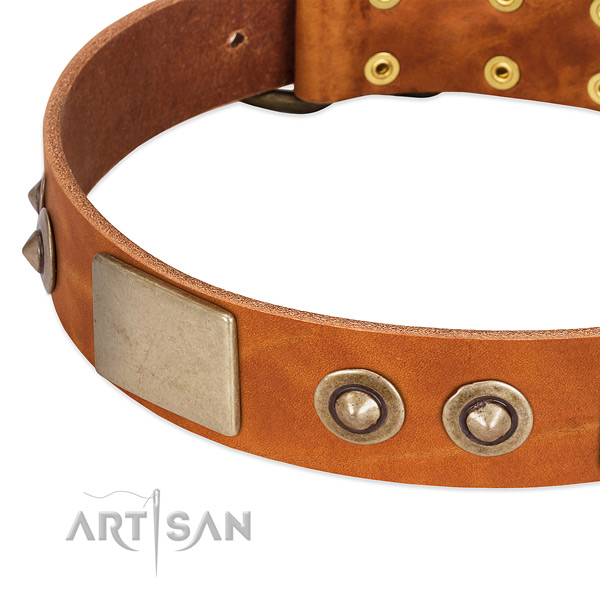 Durable embellishments on genuine leather dog collar for your four-legged friend