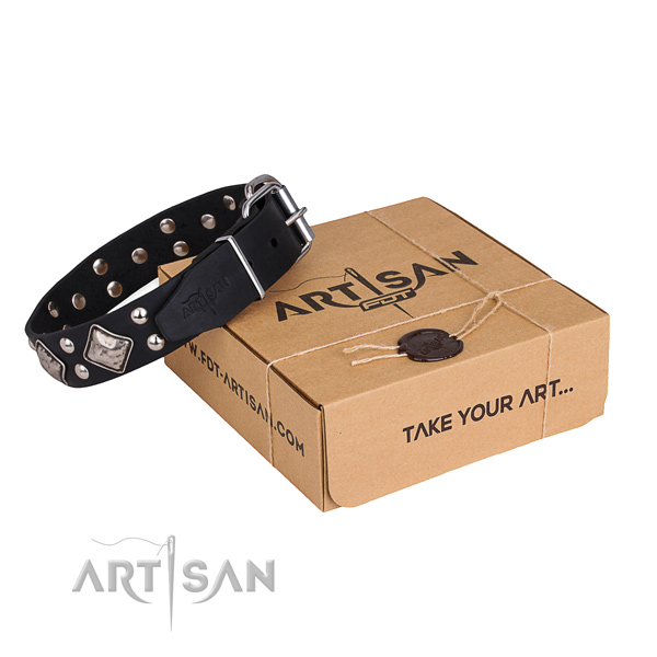 Handy use dog collar with Significant durable embellishments