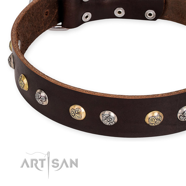 Full grain natural leather dog collar with impressive rust-proof studs