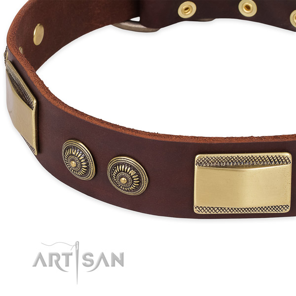 Handcrafted full grain natural leather collar for your impressive pet