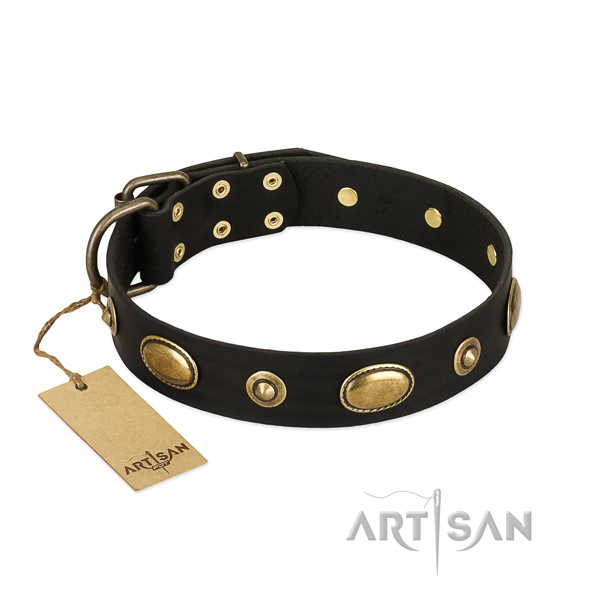 Embellished genuine leather collar for your pet