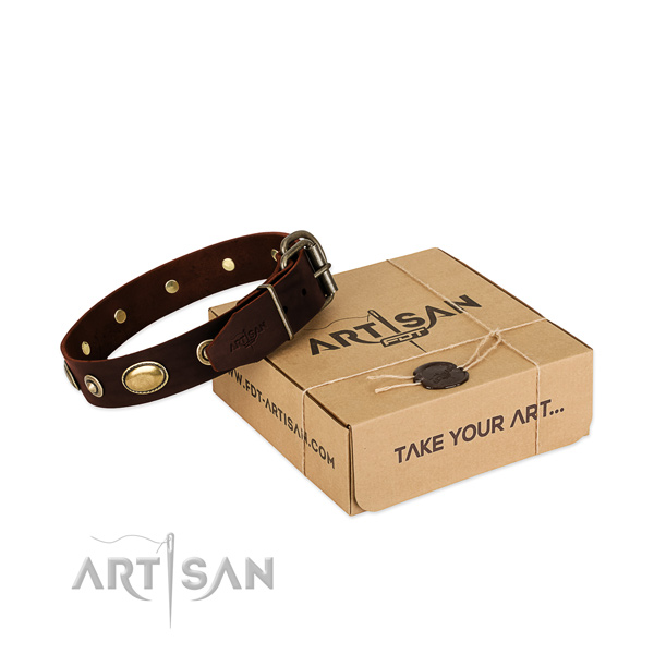 Rust-proof adornments on full grain genuine leather dog collar for your dog