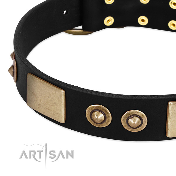 Reliable decorations on genuine leather dog collar for your pet
